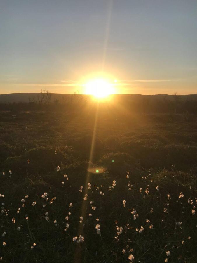 Jakobselvkaia Vadsø Dış mekan fotoğraf